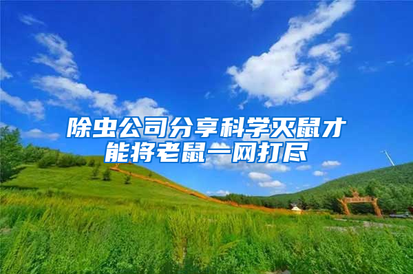 除蟲(chóng)公司分享科學(xué)滅鼠才能將老鼠一網(wǎng)打盡