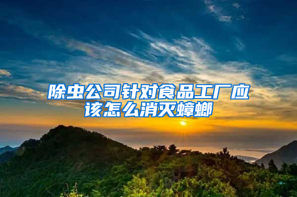除蟲公司針對(duì)食品工廠應(yīng)該怎么消滅蟑螂