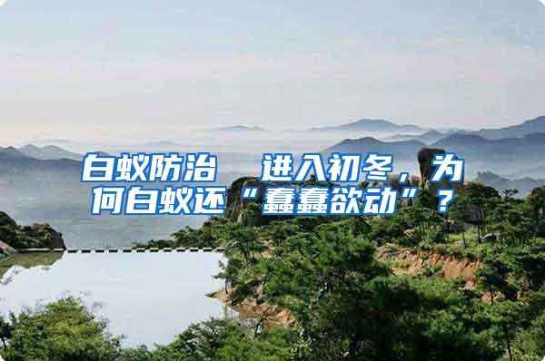 白蟻防治  進入初冬，為何白蟻還“蠢蠢欲動”？