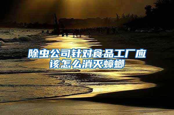 除蟲(chóng)公司針對(duì)食品工廠應(yīng)該怎么消滅蟑螂