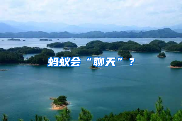 螞蟻會(huì)“聊天”？