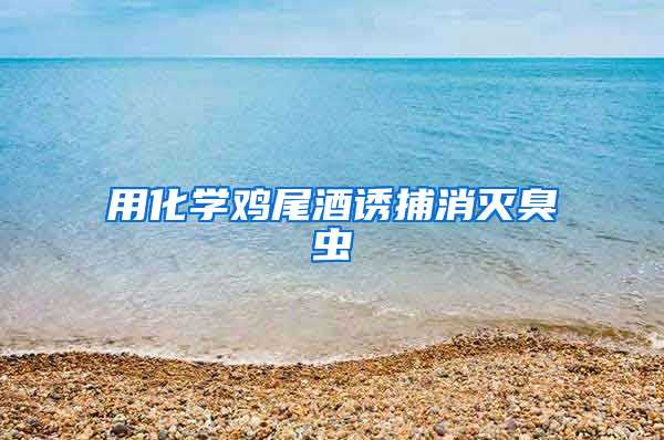 用化學(xué)雞尾酒誘捕消滅臭蟲(chóng)