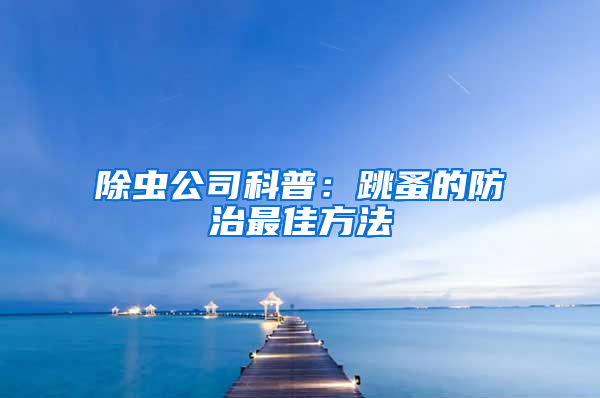 除蟲(chóng)公司科普：跳蚤的防治最佳方法