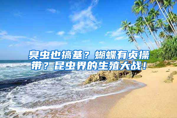 臭蟲也搞基？蝴蝶有貞操帶？昆蟲界的生殖大戰(zhàn)！