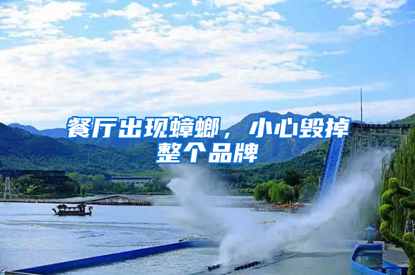餐廳出現(xiàn)蟑螂，小心毀掉整個(gè)品牌