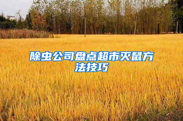 除蟲公司盤點(diǎn)超市滅鼠方法技巧