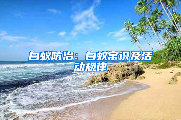 白蟻防治：白蟻常識及活動規(guī)律