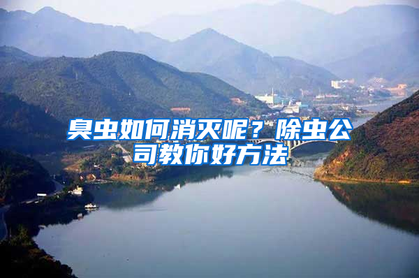 臭蟲如何消滅呢？除蟲公司教你好方法