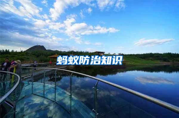 螞蟻防治知識(shí)