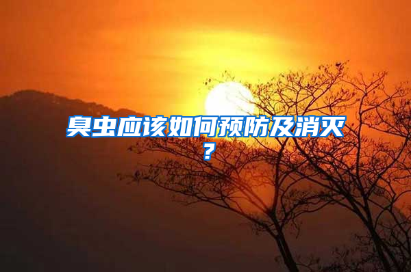 臭蟲應該如何預防及消滅？