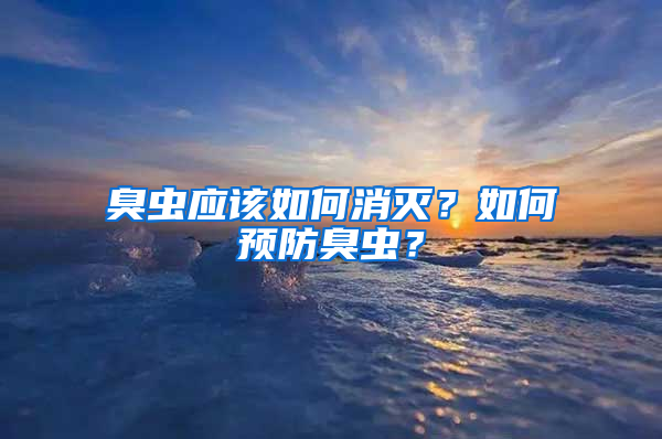 臭蟲應該如何消滅？如何預防臭蟲？