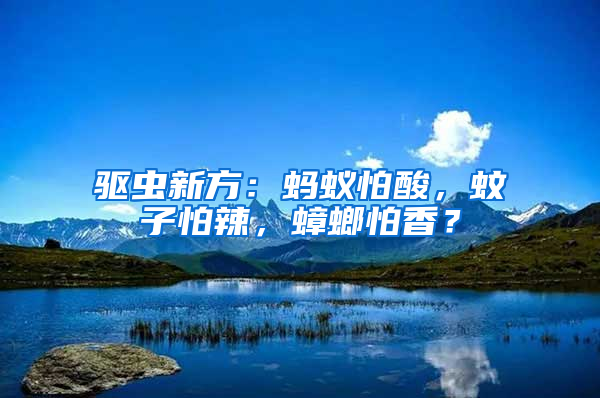 驅(qū)蟲新方：螞蟻怕酸，蚊子怕辣，蟑螂怕香？