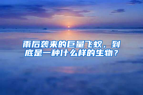 雨后襲來的巨量飛蟻，到底是一種什么樣的生物？