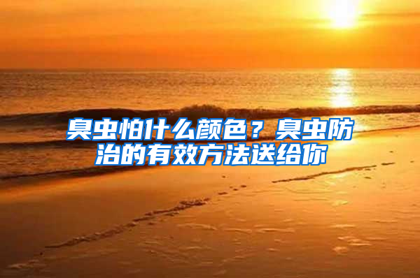 臭蟲怕什么顏色？臭蟲防治的有效方法送給你