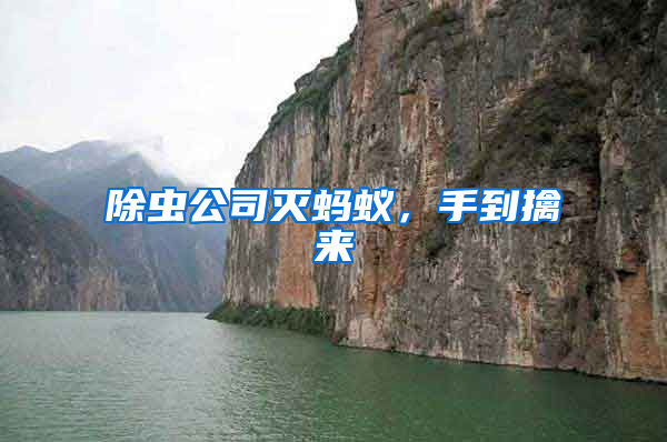除蟲公司滅螞蟻，手到擒來