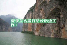 夏季怎么做好防蚊防蟲工作？